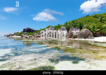 La Digue, Seychelles. Paysage magnifique avec vue sur la plage de l'Anse source d'argent. Banque D'Images