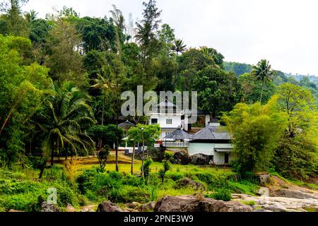 Paysage des rocheuses, une maison de villégiature dans la jungle et de grands arbres dans le Kerala Banque D'Images