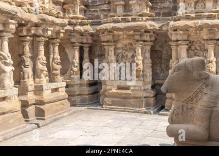 Ancienne sculpture de nandhi sur le couloir du temple au temple de Kailasanatha, Kanchipuram (Kancheepuram Kanjivaram), Tamil-Nadu, Inde. Banque D'Images