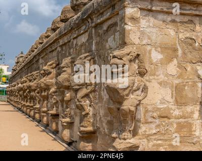 Paroi externe du temple Kailasanatha bordée de sculptures mythologiques sur lion, Kanchipuram (Kancheepuram Kanjivaram), Tamil-Nadu, Inde. Banque D'Images