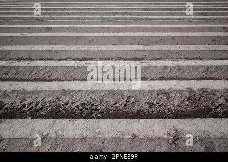 Rangée de terreau, préparation du sol pour le champ agricole pour cultiver la plante. Banque D'Images