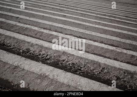 Rangée de terreau, préparation du sol pour le champ agricole pour cultiver la plante. Banque D'Images
