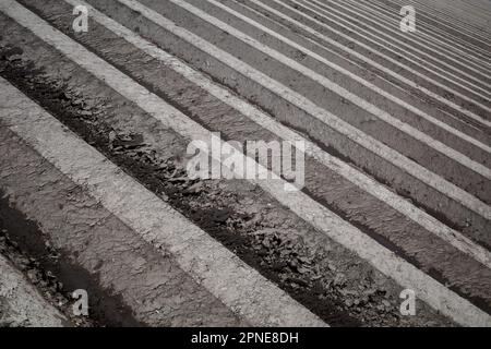 Rangée de terreau, préparation du sol pour le champ agricole pour cultiver la plante. Banque D'Images