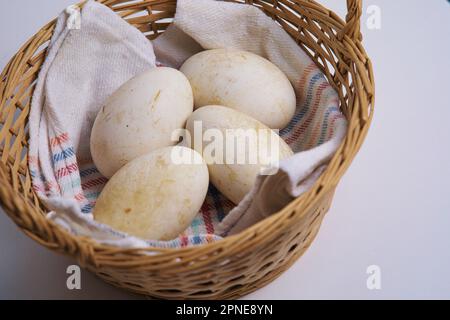 Œufs d'oie dans un panier Banque D'Images