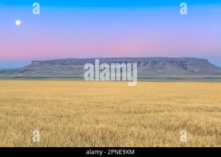 cadre de pleine lune dans un ciel avant l'aube au-dessus de la place butte et champ de blé près d'ulm, montana Banque D'Images