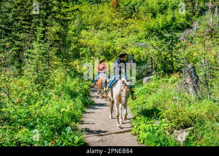 Les gens participent à une balade à cheval sur le sentier de la Plain of six Glaciers, à Lake Louise, dans les Rocheuses canadiennes, en Alberta, au Canada Banque D'Images