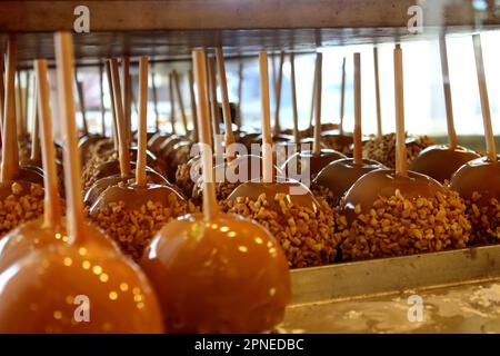 Pommes au caramel sur un plateau Banque D'Images