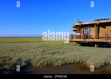 Palo Alto Baylands Banque D'Images