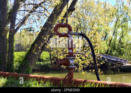 Borne d'eau et tuyau rouge le reliant par le bord du lac dans un parc Banque D'Images