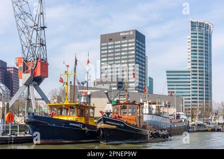 Maritime Museum Harbour, Leuvehaven, Stadsdriehoek, Rotterdam, province de la Hollande-Méridionale, Royaume des pays-Bas Banque D'Images