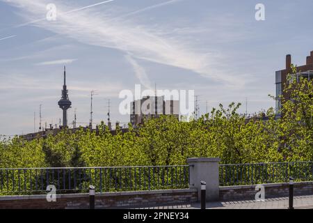 Vue depuis un pont surélevé d'un parc urbain boisé et en arrière-plan la tour de télécommunications de Madrid Banque D'Images