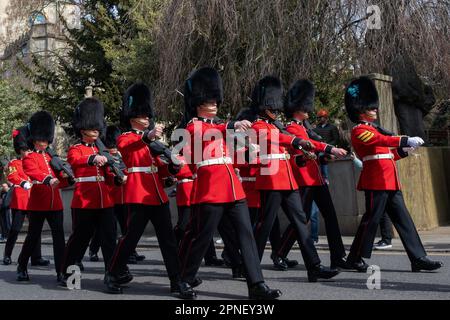 Windsor, Royaume-Uni. 8th avril 2023. Les gardes irlandais retournent à la caserne Victoria du château de Windsor après la cérémonie de la relève de la garde. La cérémonie de la relève de la garde a généralement lieu à 11 h 00am les mardi, jeudi et samedi. Crédit : Mark Kerrison/Alamy Live News Banque D'Images