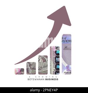 Signe de croissance financière fait de piles de Botswanan Pula notes. 3D restitution de l'argent du Botswanan arrangé sous forme d'un graphique à barres isolé sur la bande blanche Banque D'Images