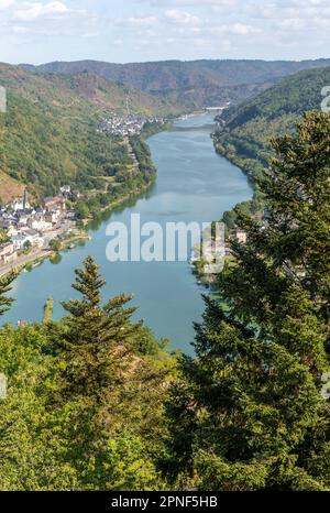 Vue panoramique spectaculaire de la tour Prizenkop de la boucle de la Moselle, de la vallée de la Moselle de Reil au Bremmer Calmont, Zeller Hamm, le Hunsrüc Banque D'Images