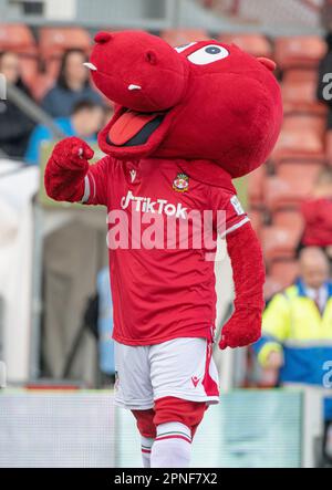 Wrexham, Wrexham County Borough, pays de Galles, 18th avril 2023. La mascotte Wrexham « Wrex the Dragon » sur le terrain avant le début du match, pendant le club de football de Wrexham Association V Yeovil Town football Club au champ de courses, dans la Vanarama National League. (Image de crédit : ©Cody Froggatt/Alamy Live News) Banque D'Images