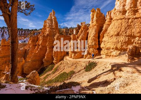 États-Unis, Utah, parc national de Bryce Canyon, femme blonde senior randonnée Banque D'Images