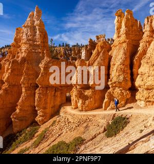 États-Unis, Utah, parc national de Bryce Canyon, femme blonde senior randonnée Banque D'Images