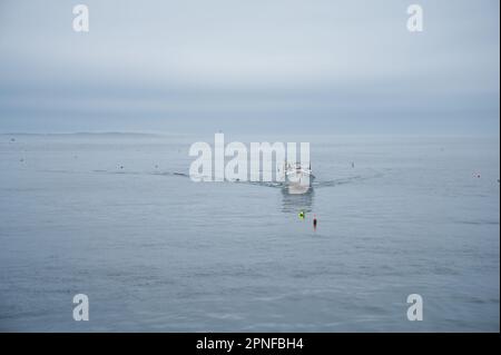 Bateau de pêche retournant au port depuis le brouillard dans le Maine Banque D'Images