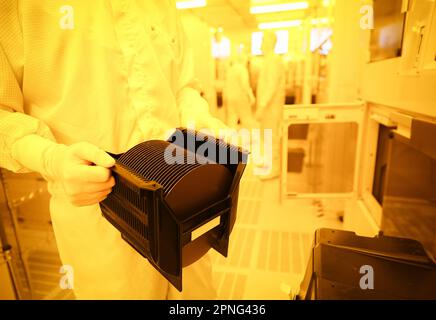 Itzehoe, Allemagne. 04th avril 2023. Les employés de la production de plaquettes travaillent sous la lumière jaune dans la salle blanche de la société de semi-conducteurs Vishay Siliconix Itzehoe GmbH. Les plaquettes sont des plaquettes de silicium qui servent de supports pour la production de micropuces. Credit: Christian Charisius/dpa/Alay Live News Banque D'Images