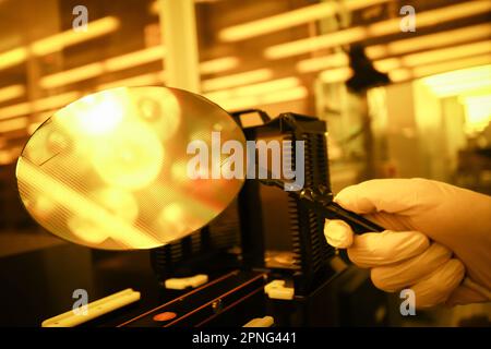 Itzehoe, Allemagne. 04th avril 2023. Un employé de la production de plaquettes travaille sous la lumière jaune dans la salle blanche de la société de semi-conducteurs Vishay Siliconix Itzehoe GmbH. Les plaquettes sont des plaquettes de silicium qui servent de supports pour la production de micropuces. Credit: Christian Charisius/dpa/Alay Live News Banque D'Images