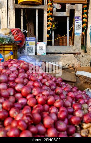 Cale d'oignon avec logos de paiement sans espèces à Paharganj, New Delhi, Inde Banque D'Images