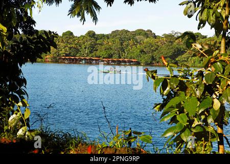 Canal dans la forêt tropicale, parc national de Tortuguero, province de Limon, Costa Rica Banque D'Images