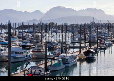 Bateaux dans le port de Homer, Alaska Banque D'Images