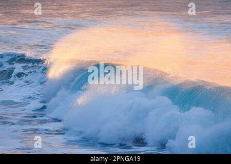 Onde rétro-éclairée dans la lumière chaude du soir sur la mer ouverte au large de la côte nord de l'Écosse, Sango Bay, Durness Banque D'Images