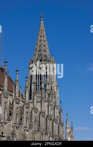 Cathédrale d'Ulm, vue sur les tours orientales, Ulm, Bade-Wurtemberg, Allemagne Banque D'Images