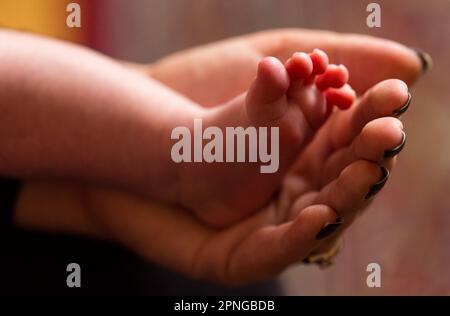 Photo du dossier datée du 23/01/16 la mère tient les pieds de son nouveau bébé. On s'attend à ce que les bébés nés dans le nord de l'Angleterre vivent au moins un an de moins que la moyenne anglaise, selon de nouvelles données. Les experts de la santé publique ont mis en garde contre un fossé grandissant entre le Nord et le reste de l'Angleterre après avoir également examiné les taux de mortalité infantile, les incapacités, les soins non rémunérés et la façon dont les gens évaluent leur propre santé. Ces inconvénients pour la santé ont également une incidence sur la productivité en raison de l'augmentation des niveaux d'inactivité économique en raison d'une mauvaise santé. Date de publication : mercredi 19 avril 2023. Banque D'Images