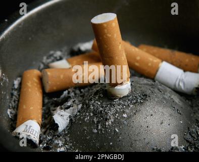 Photo du dossier datée du 14/06/07, des cigarettes saisies dans un cendrier, comme le « Megue » devrait être soutenu par une taxe « pollueur-payeur » sur les entreprises de tabac, a déclaré un groupe d'experts de la santé. Banque D'Images