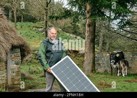 Homme barbu d'âge moyen tenant un panneau solaire près d'une cabane de ferme et des vaches dans la zone rurale. Système de panneaux solaires photovoltaïques autonome. Renouvelable écologique Banque D'Images