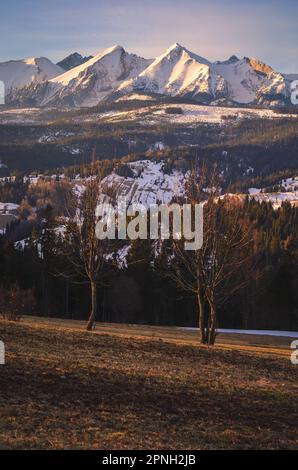 Panorama charmant des montagnes polonaises Tatra le matin. Vue sur les Belianske Tatras depuis le village de Lapszanka, Pologne. Banque D'Images