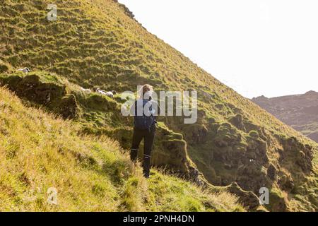 Vestmannaeyjar, Islande- août 2021 : une jeune fille touristique qui fait du trekking sur la montagne Heimaklettur à Heimaey Banque D'Images