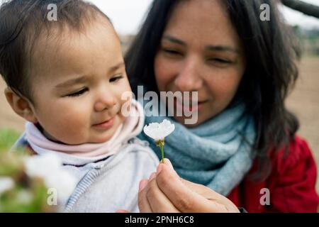 gros plan de la mère souriante et de la petite fille qui ramasse des fleurs de cerisier pendant la saison des fleurs au printemps. concept de la maternité et de profiter du temps togeth Banque D'Images