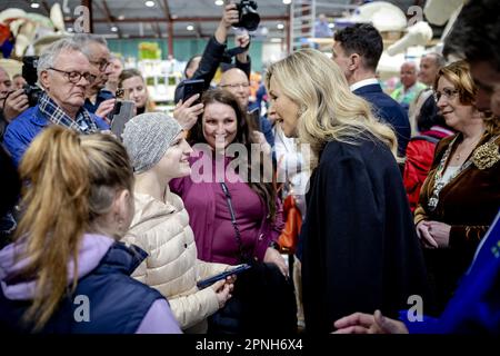 Sassenheim, pays-Bas. 19th avril 2023. SASSENHEIM - 19/04/2023, la reine Maxima rencontre Julia, une ukrainienne atteinte du cancer, lors d'une visite des seize chars au début de la construction du Bloemencorso Bollenstreek. Dans cette parade, les flotteurs sont décorés de fleurs bulbes, comme des tulipes, des jacinthes et des jonquilles. ANP ROBIN VAN LONKHUIJSEN pays-bas Out - belgique Out Credit: ANP/Alay Live News Banque D'Images