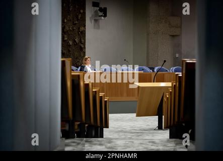 LA HAYE - Christianne van der Wal, ministre de la nature et de l'azote à la Chambre des représentants lors du débat sur les 24 milliards d'euros que le cabinet a réservés pour lutter contre la crise de l'azote. ANP KOEN VAN WEEL pays-bas hors - belgique hors Banque D'Images