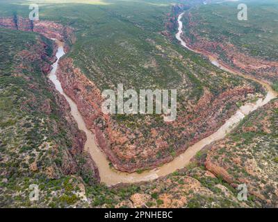 Une vue aérienne de la rivière Murchison qui traverse un canyon vert dans le parc national de Kalbarri, en Australie Banque D'Images