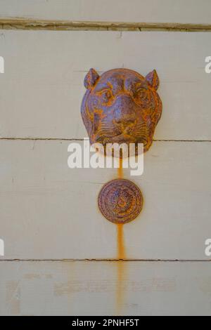 décoration en forme de tête de lion rouillée de fer d'époque sur la porte en bois. Extérieur, européen Banque D'Images