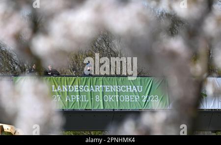 19 avril 2023, Hesse, Fulda: Une affiche avec l'inscription 'Landesgartenschau 27 avril - 8 octobre 2023' est vue sur le pont panoramique sur le terrain du Landesgartenschau Fulda 2,023 à travers un cerisier fleuri (vue aérienne prise avec un drone). Environ une semaine avant l'ouverture officielle du Landesgartenschau (LGS), le travail final est effectué sur les vastes terrains. La ville de la cathédrale est la première à accueillir pour la deuxième fois un salon des jardins de l'État de Hesse. De 27 avril à 8 octobre, les visiteurs peuvent découvrir 4 000 mètres carrés de lits avec des plantes qui changent de saison dans quatre sections de Banque D'Images