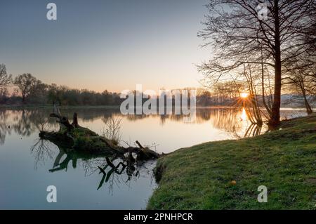 Lac au lever du soleil, crique avec soleil levant, sunstar et belle surface d'eau calme. Avec un arbre tombé au premier plan. Bodovka, Slovaquie Banque D'Images