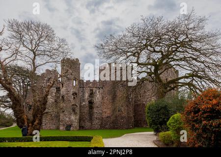 Château de Laugharne, Carmarthenshire, pays de Galles, Royaume-Uni : château médiéval autrefois converti en résidence Tudor. Géré et entretenu par CADW Banque D'Images