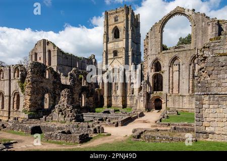 Les ruines de l'abbaye de Fountains près de Ripon dans le North Yorkshire, dans le nord-est de l'Angleterre. Fondée en 1132, l'abbaye a fonctionné pendant 407 ans, devenant ainsi Banque D'Images