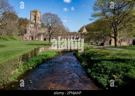 Les ruines de l'abbaye de Fountains près de Ripon dans le North Yorkshire, dans le nord-est de l'Angleterre. Fondée en 1132, l'abbaye a fonctionné pendant 407 ans, devenant ainsi Banque D'Images