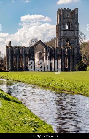 Les ruines de l'abbaye de Fountains près de Ripon dans le North Yorkshire, dans le nord-est de l'Angleterre. Fondée en 1132, l'abbaye a fonctionné pendant 407 ans, devenant ainsi Banque D'Images