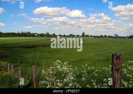 Prairies et routes dans la région de Zuidplaspolder où l'eau ne peut plus être gérée aux pays-Bas Banque D'Images