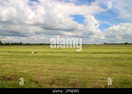 Prairies et routes dans la région de Zuidplaspolder où le nouveau village sera construit aux pays-Bas Banque D'Images