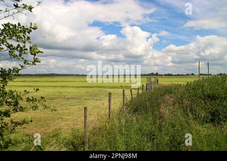 Prairies et routes dans la région de Zuidplaspolder où le nouveau village sera construit aux pays-Bas Banque D'Images