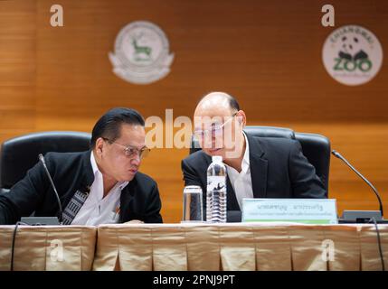 Chiang Mai, Thaïlande. 19th avril 2023. Dechboon Maprasert (R) Président de l'Organisation du Parc zoologique de Thaïlande et Directeur du Zoo de Chiang Mai de Wuthichai (L), lors d'une conférence de presse. Lin hui, Panda géant, meurt au zoo de Chiang Mai à l'âge de 21 ans. Des fonctionnaires des agences de Thaïlande et de Chine collaborent pour déterminer la cause exacte de sa mort. Crédit : SOPA Images Limited/Alamy Live News Banque D'Images