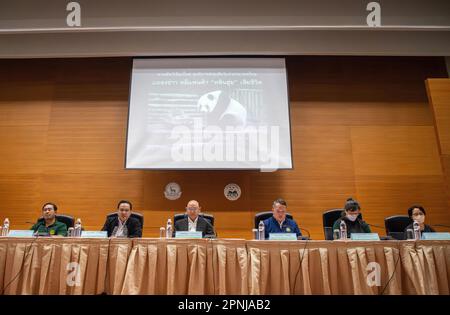 Chiang Mai, Thaïlande. 19th avril 2023. Wuthichai Muangman (2L) Directeur du zoo de Chiang Mai, parle lors d'une conférence de presse. Lin hui, Panda géant, meurt au zoo de Chiang Mai à l'âge de 21 ans. Des fonctionnaires des agences de Thaïlande et de Chine collaborent pour déterminer la cause exacte de sa mort. (Photo de Pongmanat Tasiri/SOPA Images/Sipa USA) crédit: SIPA USA/Alay Live News Banque D'Images